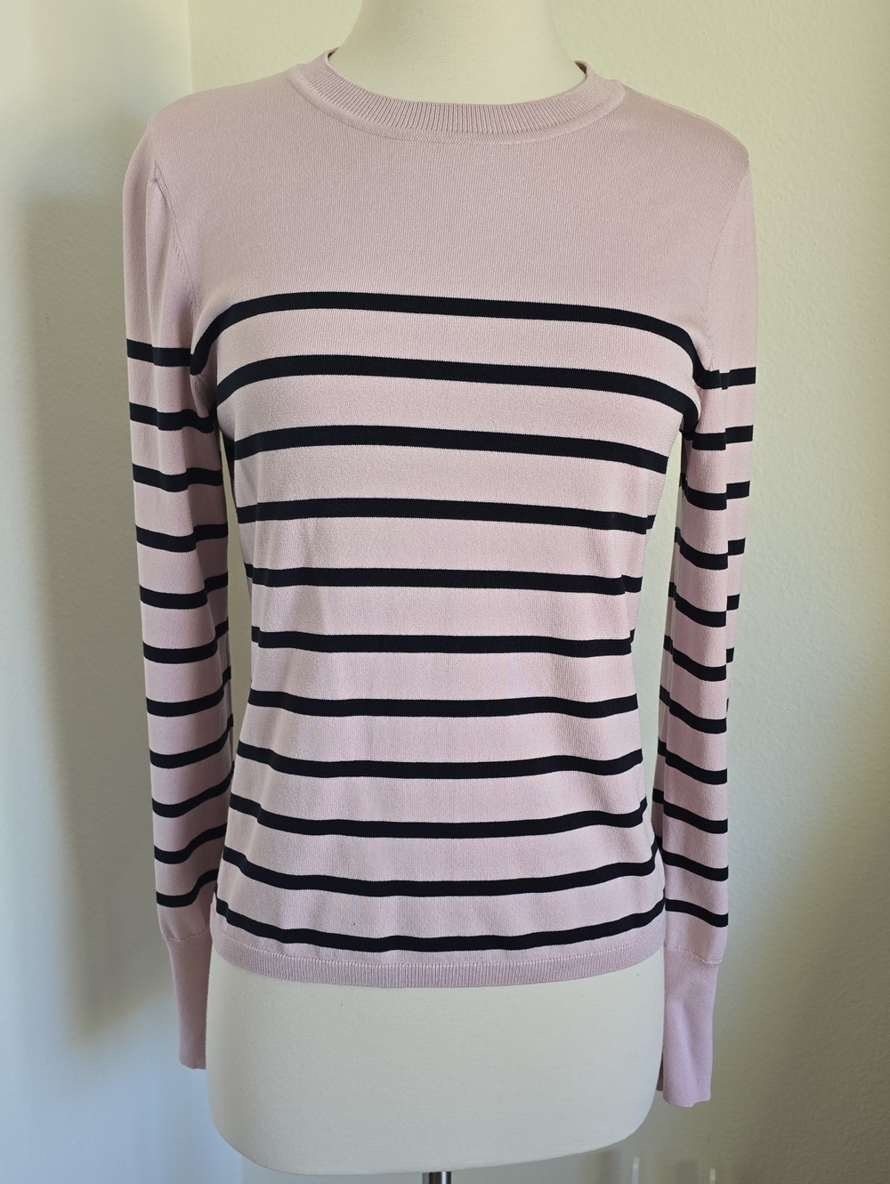 Express Light Pink and Navy Blue Striped Long-Sleeve Crewneck